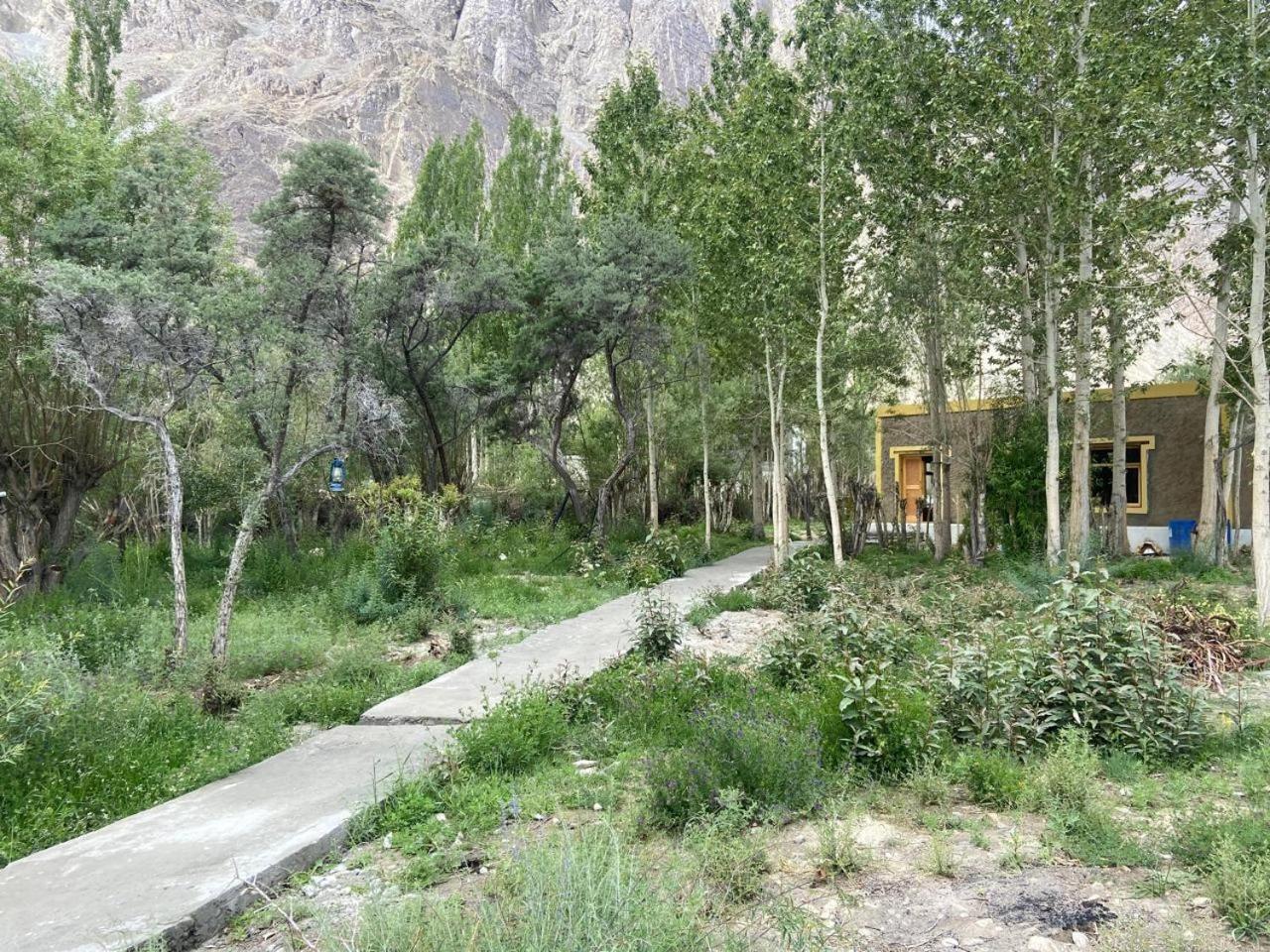 Ladakh Mountian Escape Camp By Lexstays Leh Exterior foto